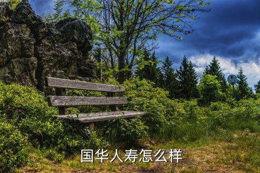 國華人壽保險(xiǎn)股份有限公司股東
