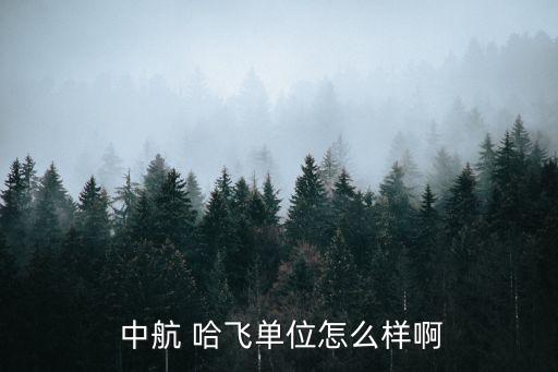 中航工業(yè)哈飛集團(tuán)哪個車間工資好,中航哈飛工業(yè)集團(tuán)有限責(zé)任公司