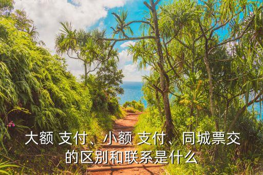  大額 支付、小額 支付、同城票交的區(qū)別和聯(lián)系是什么