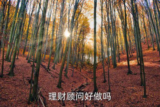 理財(cái)顧問(wèn)好做嗎