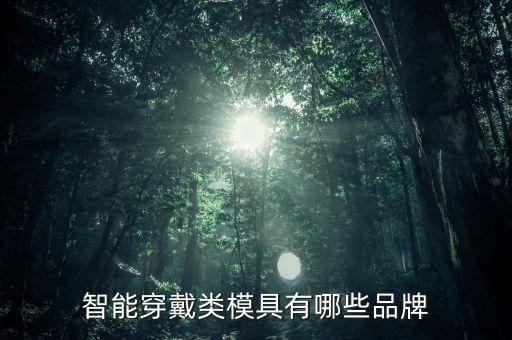 智能穿戴類模具有哪些品牌