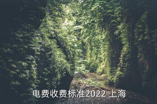  電費收費標(biāo)準(zhǔn)2022 上海