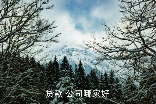 買(mǎi)金融公司排名,成都金融公司排名最好