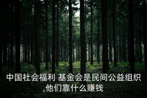 基金會(huì)如何盈利,老?；饡?huì)靠什么盈利