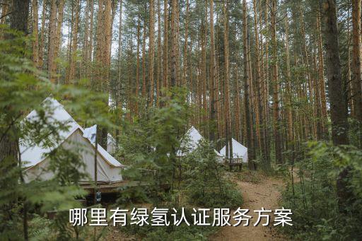 哪里有綠氫認證服務方案