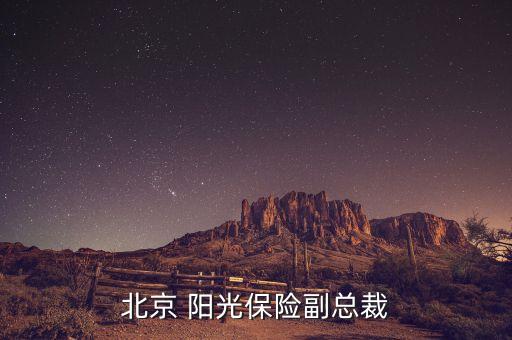 北京 陽(yáng)光保險(xiǎn)副總裁