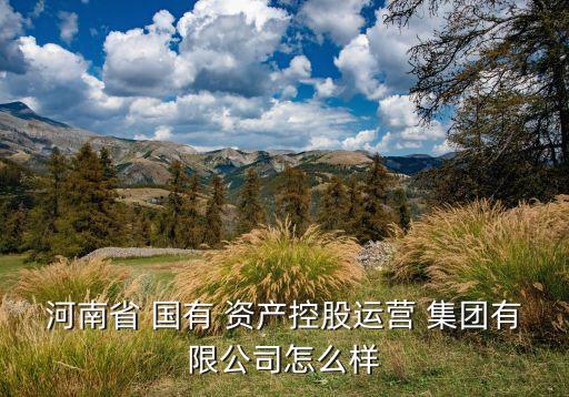 河南省 國有 資產(chǎn)控股運營 集團有限公司怎么樣