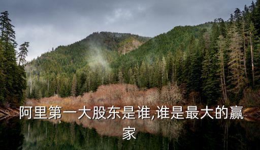  阿里第一大股東是誰(shuí),誰(shuí)是最大的贏家