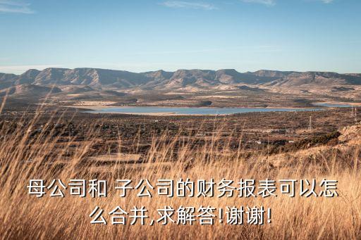  母公司和 子公司的財務報表可以怎么合并,求解答!謝謝!