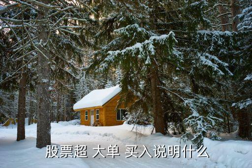  股票超 大單 買(mǎi)入說(shuō)明什么