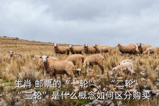  生肖 郵票的“一輪”、“二輪”、“ 三輪”是什么概念如何區(qū)分購買