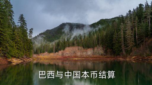  巴西與中國本幣結(jié)算