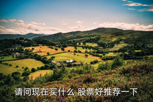 業(yè)績最號(hào)的股票,股票業(yè)績預(yù)告披露規(guī)則