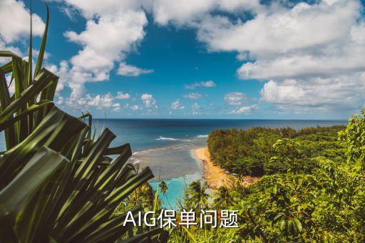 AIG保單問(wèn)題