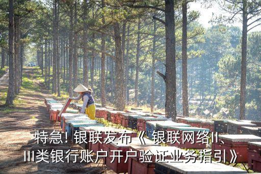 特急! 銀聯(lián)發(fā)布《 銀聯(lián)網(wǎng)絡(luò)II、III類銀行賬戶開戶驗證業(yè)務(wù)指引》