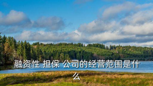 融資擔(dān)保公司屬于金融機(jī)構(gòu)嗎,中小企業(yè)融資擔(dān)保公司是金融機(jī)構(gòu)嗎