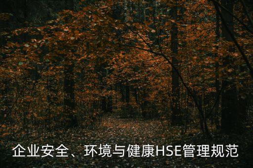 企業(yè)安全、環(huán)境與健康HSE管理規(guī)范