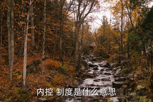 內(nèi)控 制度是什么意思