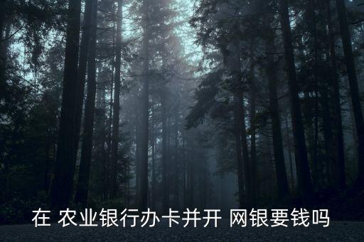 在 農(nóng)業(yè)銀行辦卡并開(kāi) 網(wǎng)銀要錢(qián)嗎