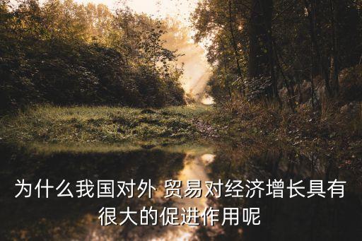 為什么我國對外 貿(mào)易對經(jīng)濟增長具有很大的促進作用呢