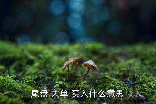 股票顯示大單買入什么意思,股票現手和量什么意思