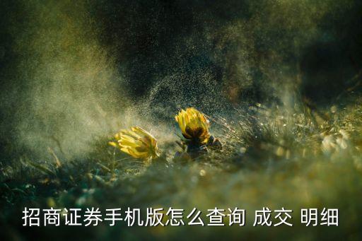招商證券手機版怎么查詢 成交 明細(xì)