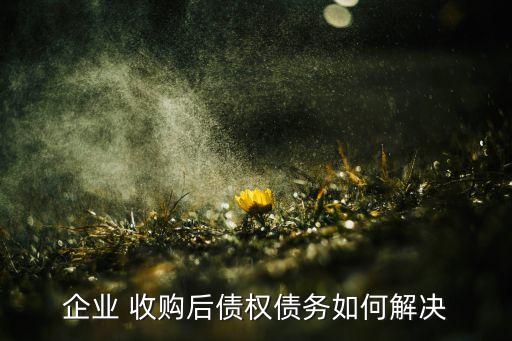 企業(yè) 收購后債權(quán)債務(wù)如何解決