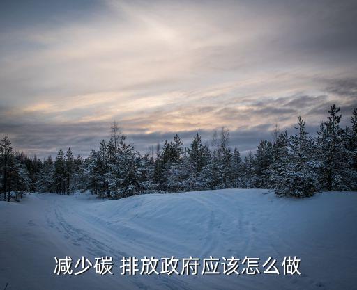 中國(guó)減少碳排放的政策,中國(guó)汽車(chē)排放政策