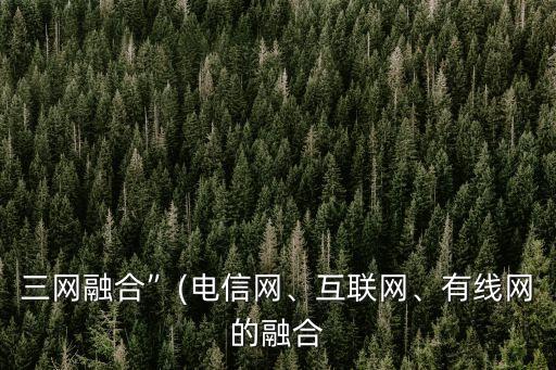 三網(wǎng)融合”(電信網(wǎng)、互聯(lián)網(wǎng)、有線網(wǎng)的融合