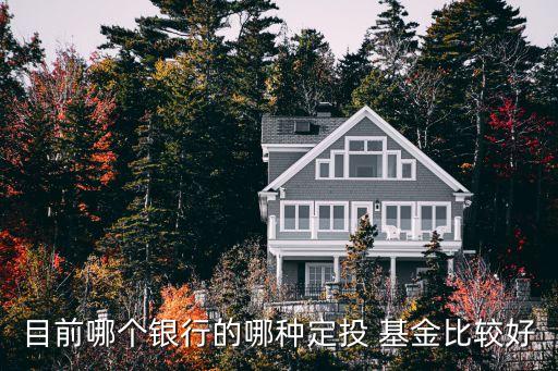 目前哪個銀行的哪種定投 基金比較好