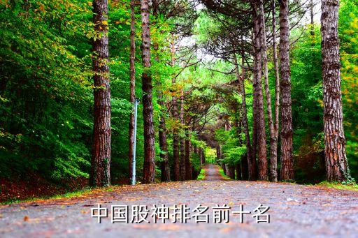 中國股神排名前十名