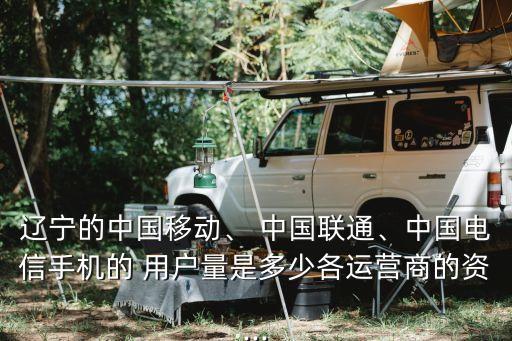 遼寧的中國移動、 中國聯(lián)通、中國電信手機的 用戶量是多少各運營商的資...