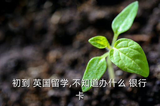 初到 英國(guó)留學(xué),不知道辦什么 銀行卡