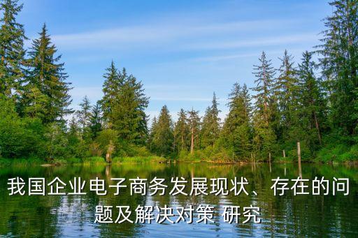 我國(guó)企業(yè)電子商務(wù)發(fā)展現(xiàn)狀、存在的問(wèn)題及解決對(duì)策 研究