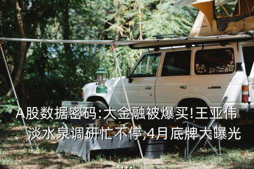 A股數(shù)據(jù)密碼:大金融被爆買!王亞偉、淡水泉調(diào)研忙不停,4月底牌大曝光...