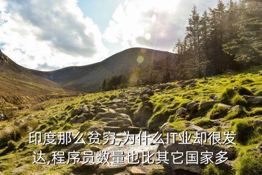  印度那么貧窮,為什么IT業(yè)卻很發(fā)達,程序員數(shù)量也比其它國家多
