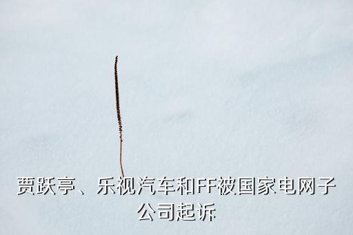 賈躍亭、樂(lè)視汽車和FF被國(guó)家電網(wǎng)子公司起訴