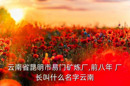 云南省昆明市易門礦煉廠,前八年 廠長(zhǎng)叫什么名字云南