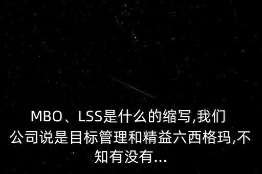 MBO、LSS是什么的縮寫,我們 公司說是目標(biāo)管理和精益六西格瑪,不知有沒有...